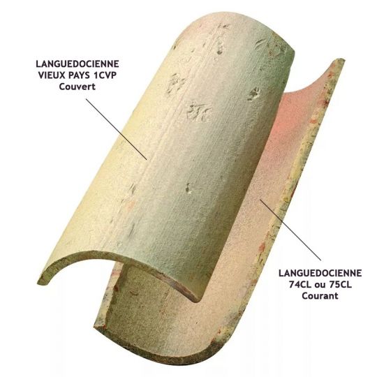 Tuile canal LANGUEDOCIENNE VIEUX PAYS - 1CVP - 21,5 x 50 x 16,5 cm